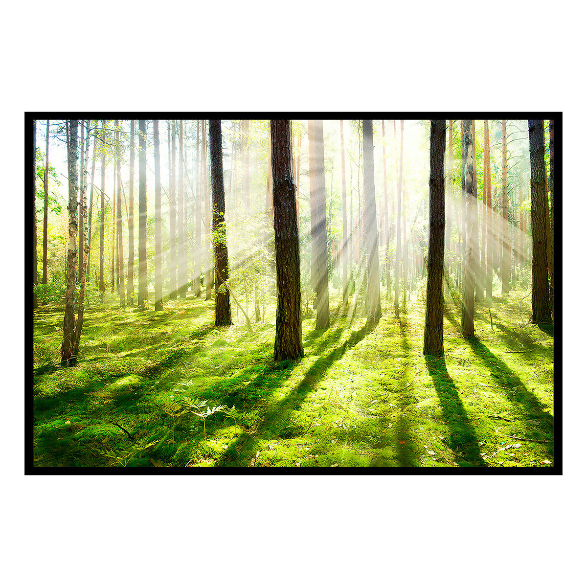 Affiche encadrée forêt lumineuse au soleil affiche + cadre en métal - noir, HEXOA