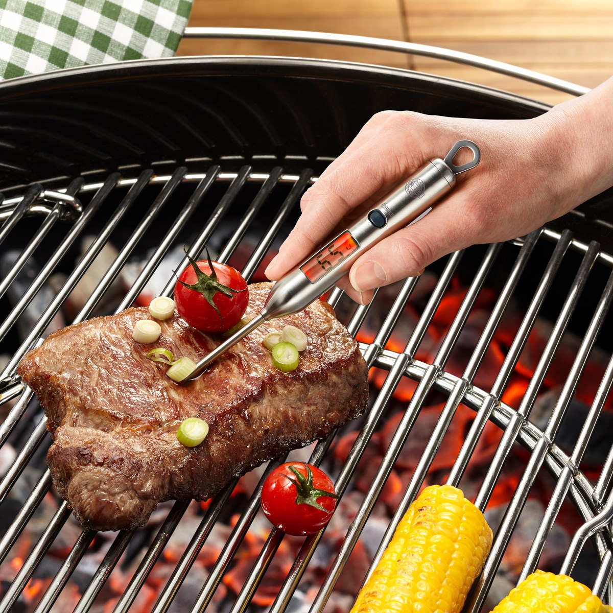 Thermomètre numérique BBQ argent, GEFU