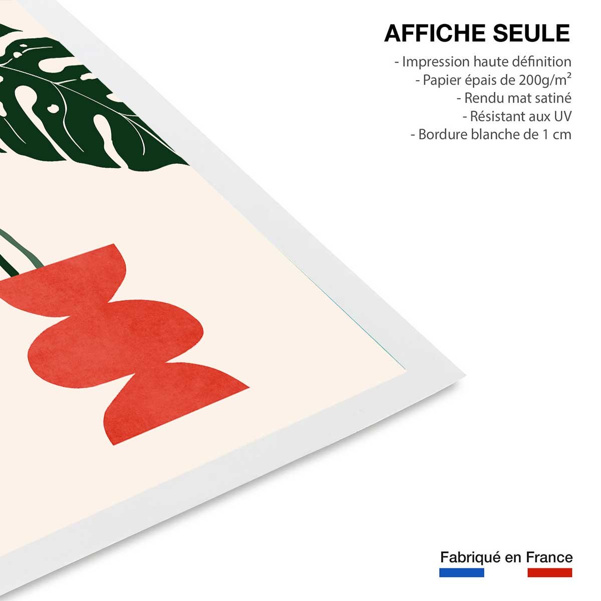 Affiche fleurs Deco vase monstera affiche seule, HEXOA