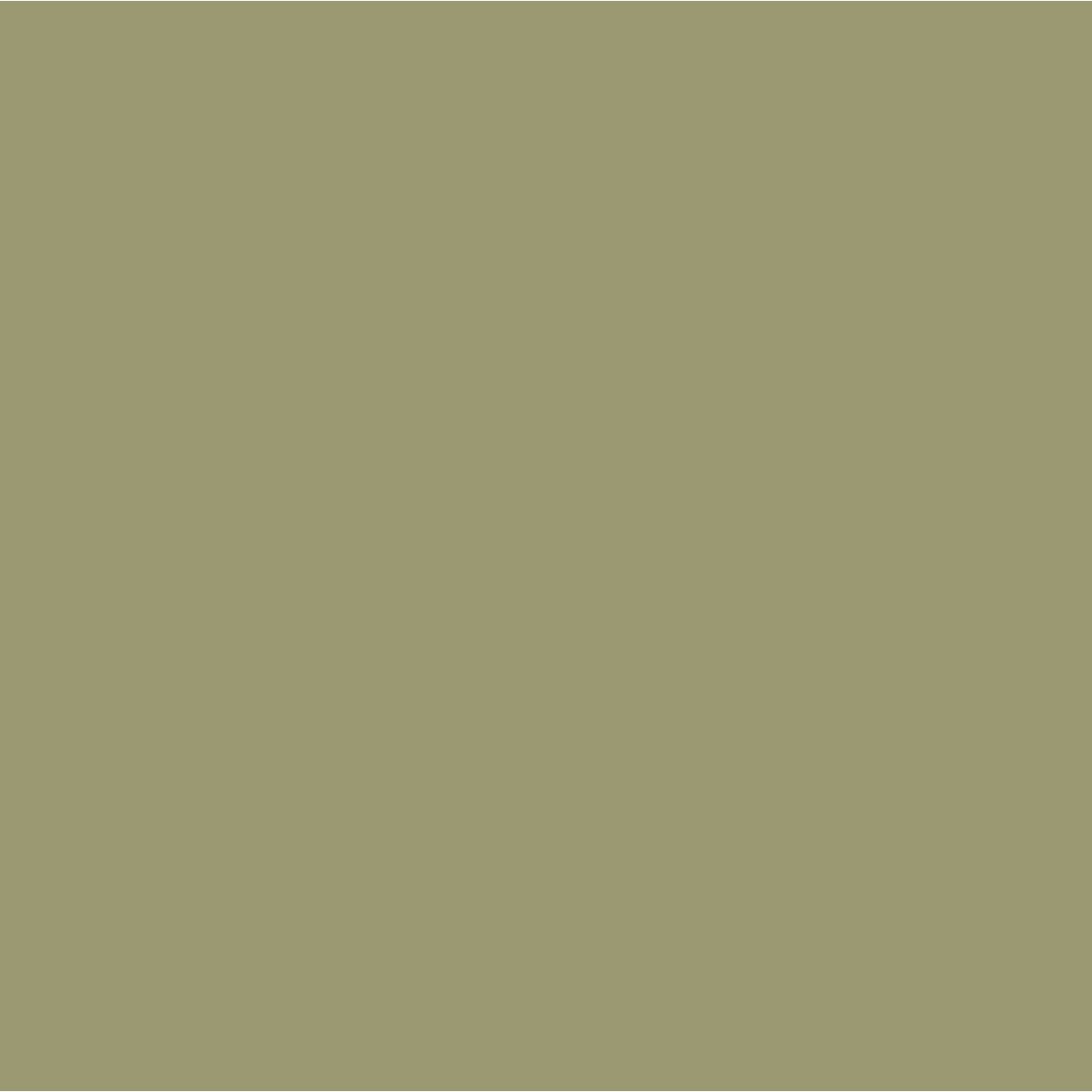 Peinture murale mate lessivable Military operation vert, GRAHAM ET BROWN