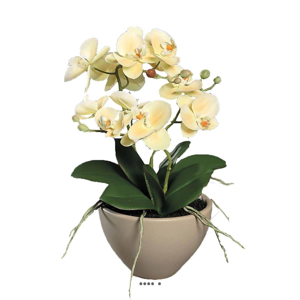 Fausse orchidée en pot céramique H 35 cm crème vert, ARTIFICIELLES
