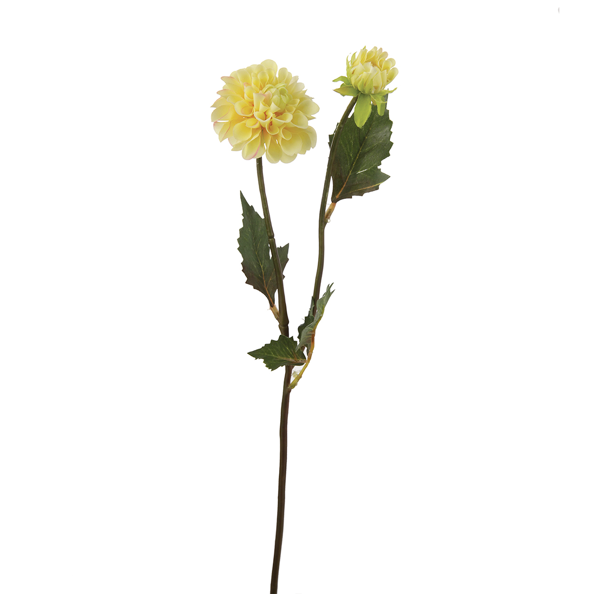 Tige de dahlia artificielle H50 blanc, SIA DECO