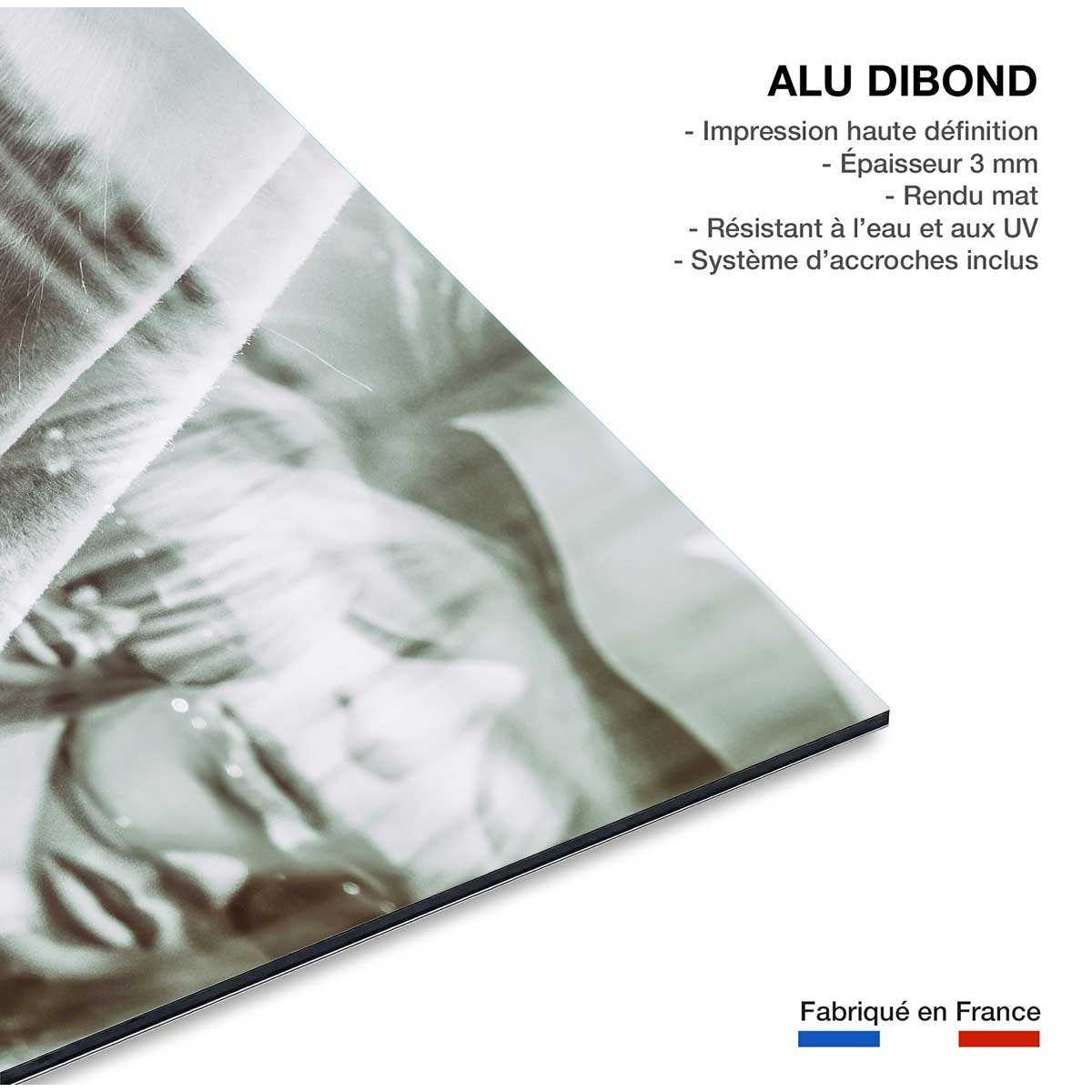 Tableau shooting Tableau photo tableau alu dibond, HEXOA