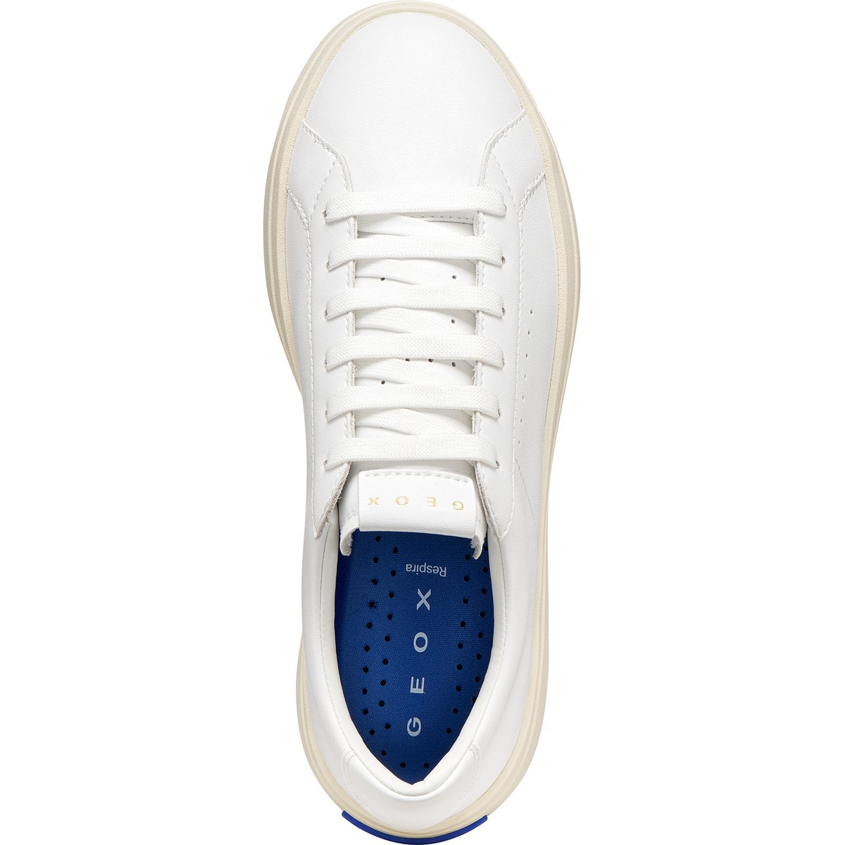 Femme D GXCP-03 blanc, GEOX
