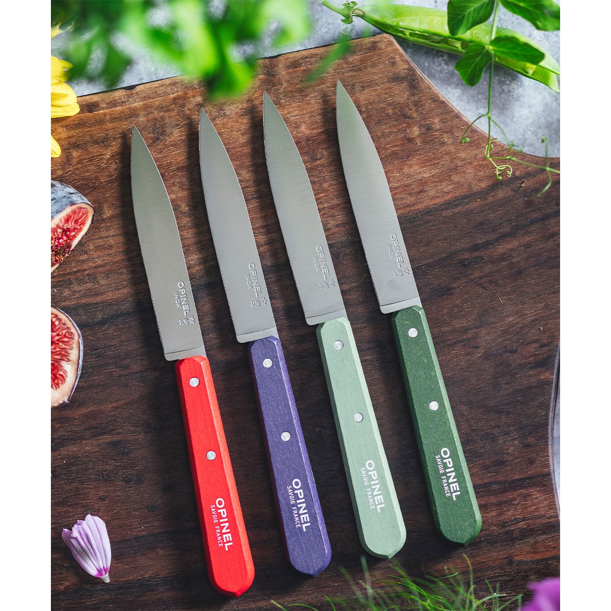 Couteau Coffret de 4 pcs N112 Paysage couleur unique, OPINEL