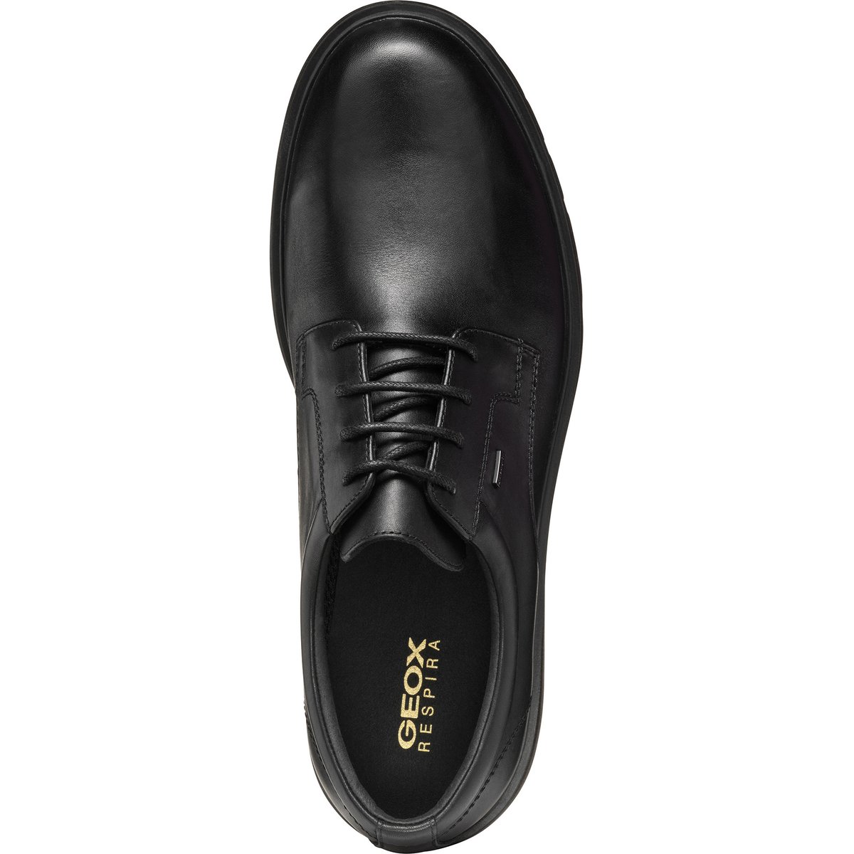 Derbies  U SPHERICA EC1 B ABX noir, GEOX