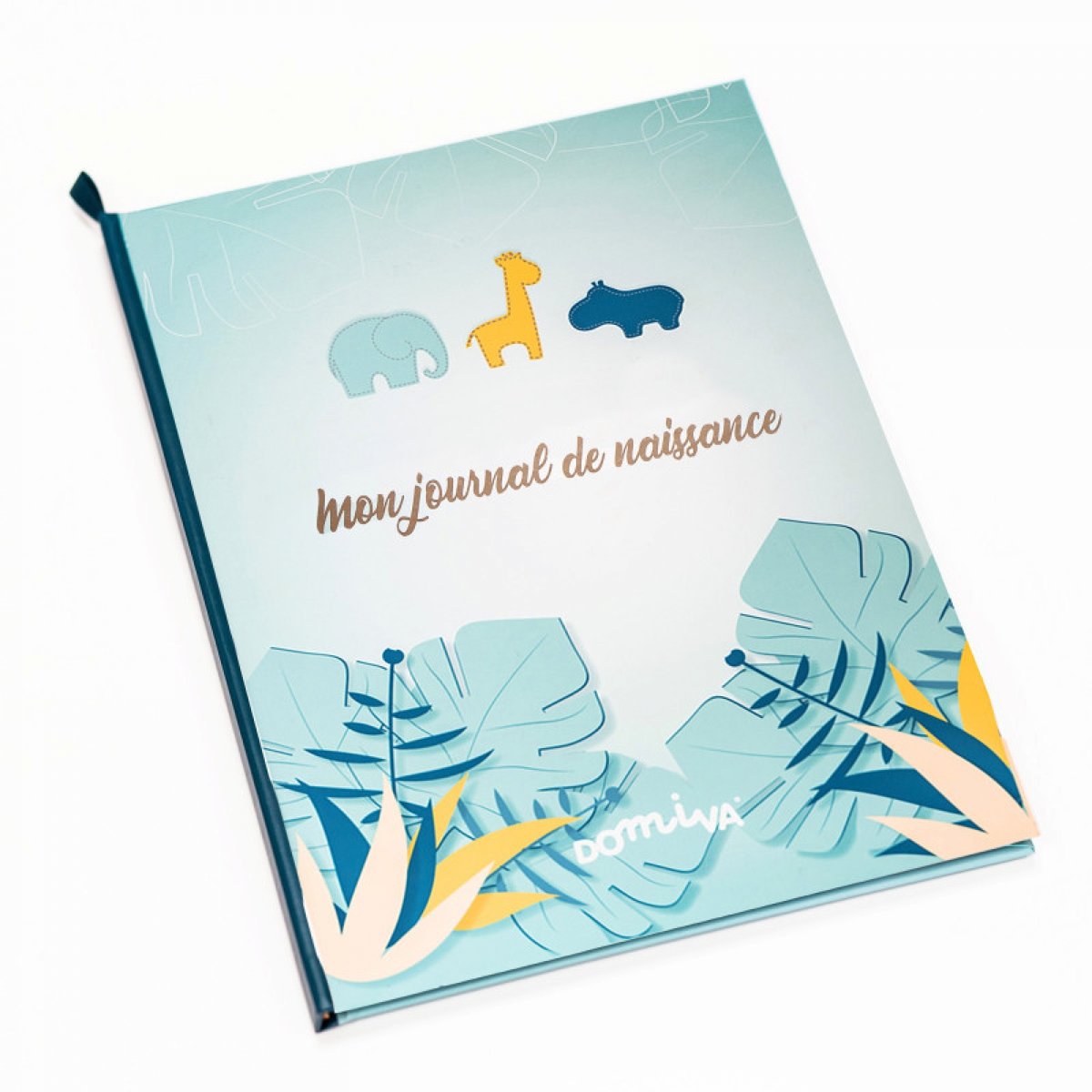 Livre de naissance zanimo, DOMIVA