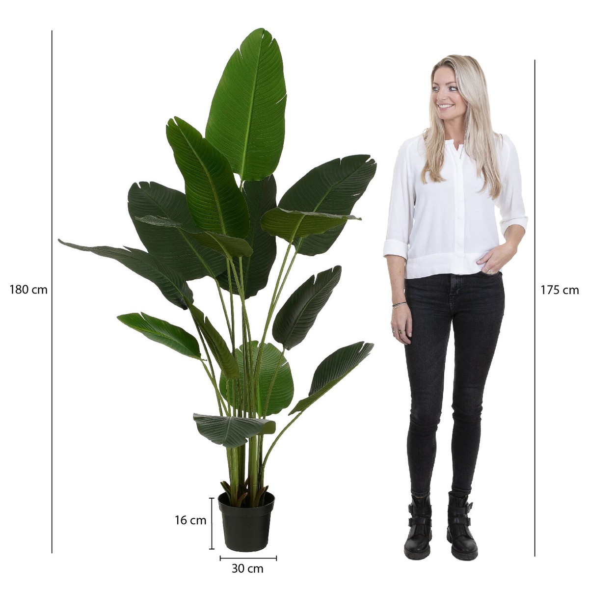 Plante artificielle BANANA TREE vert, MICA DECORATIONS