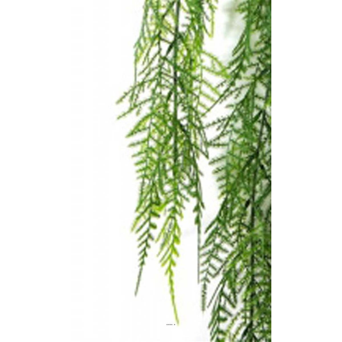 Chute d'asparagus artificiel L 75cm v002239, ARTIFICIELLES