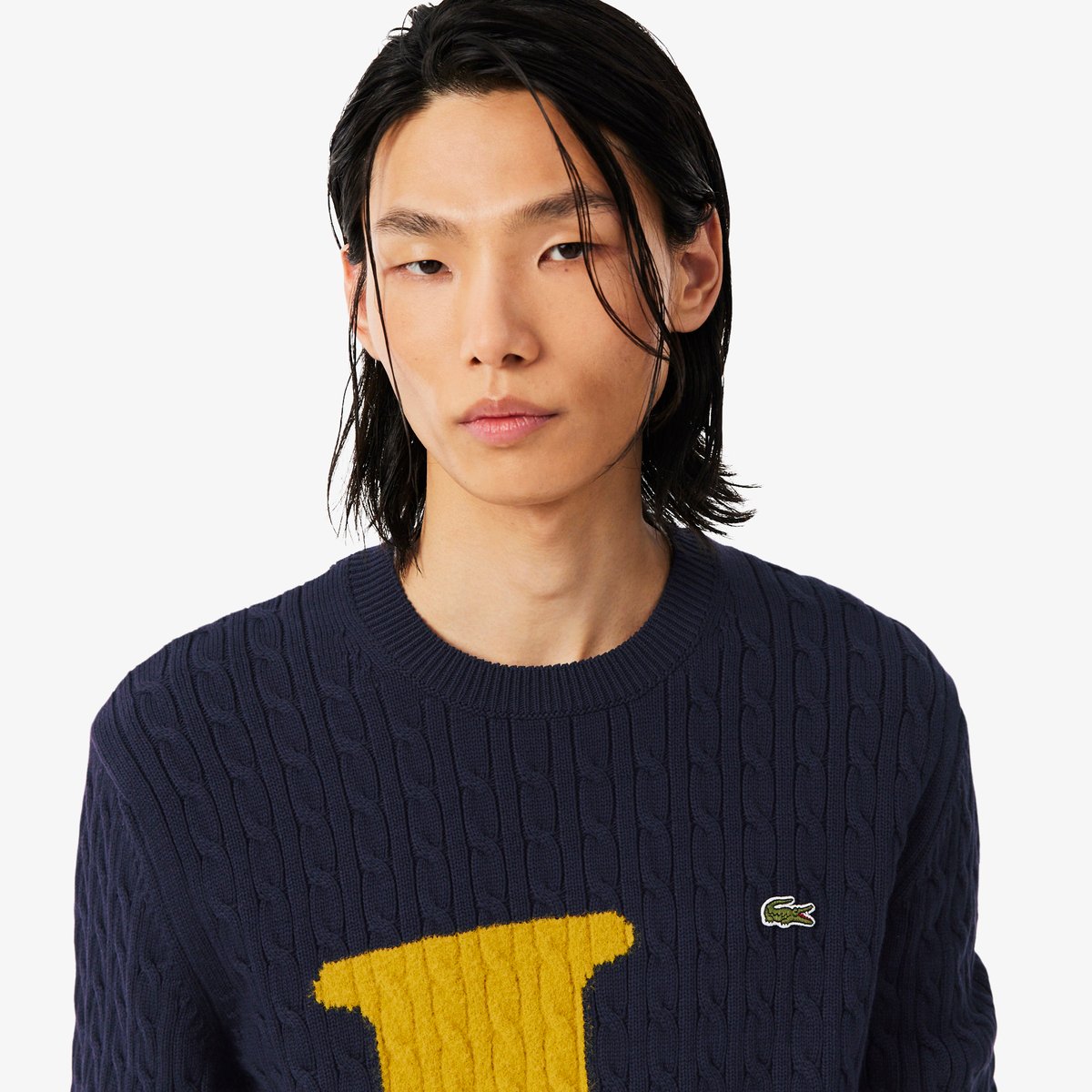 Pull maille torsadée intarsia bleu-wt6, LACOSTE
