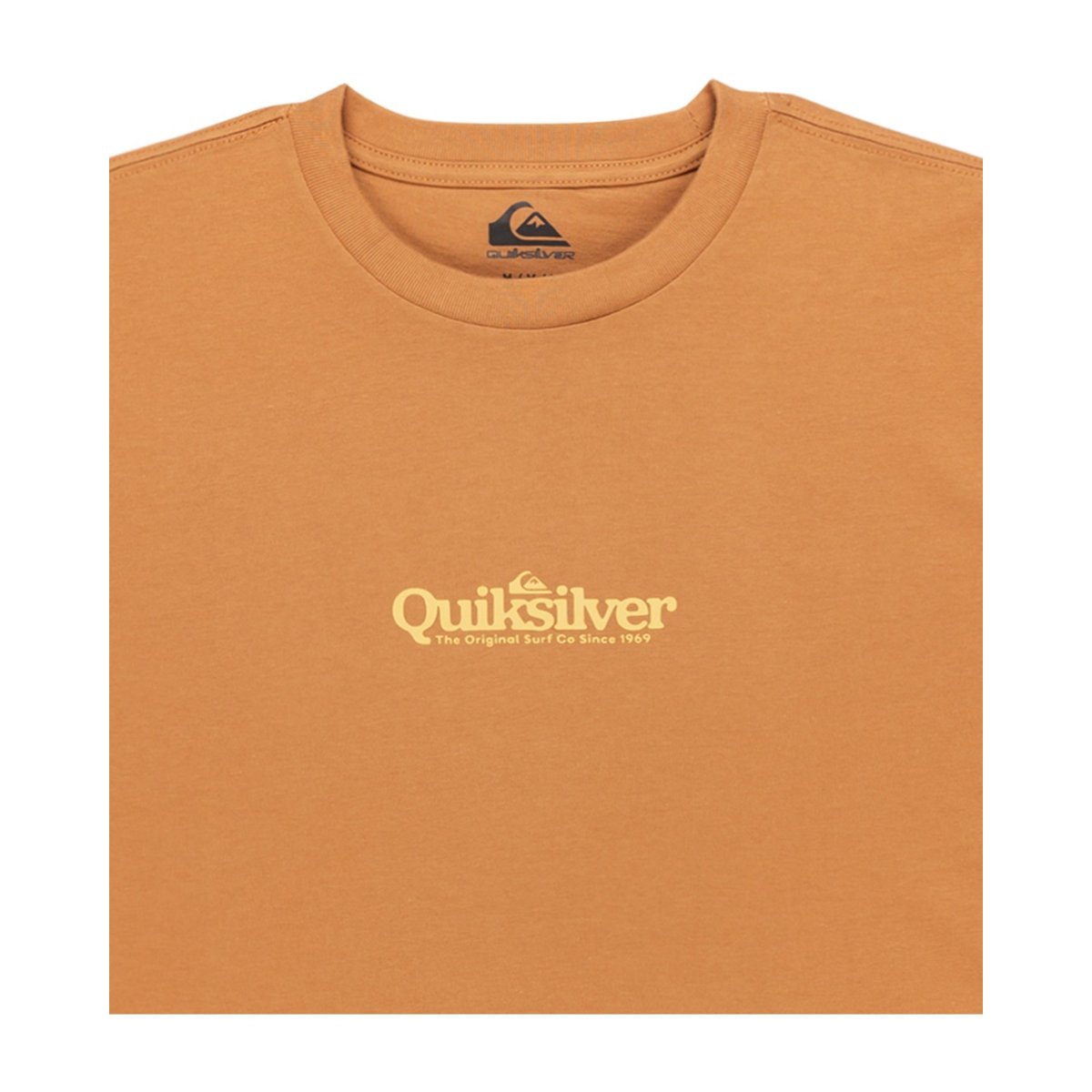 T-shirt à manches courtes EV FINELINE marron almond, QUIKSILVER