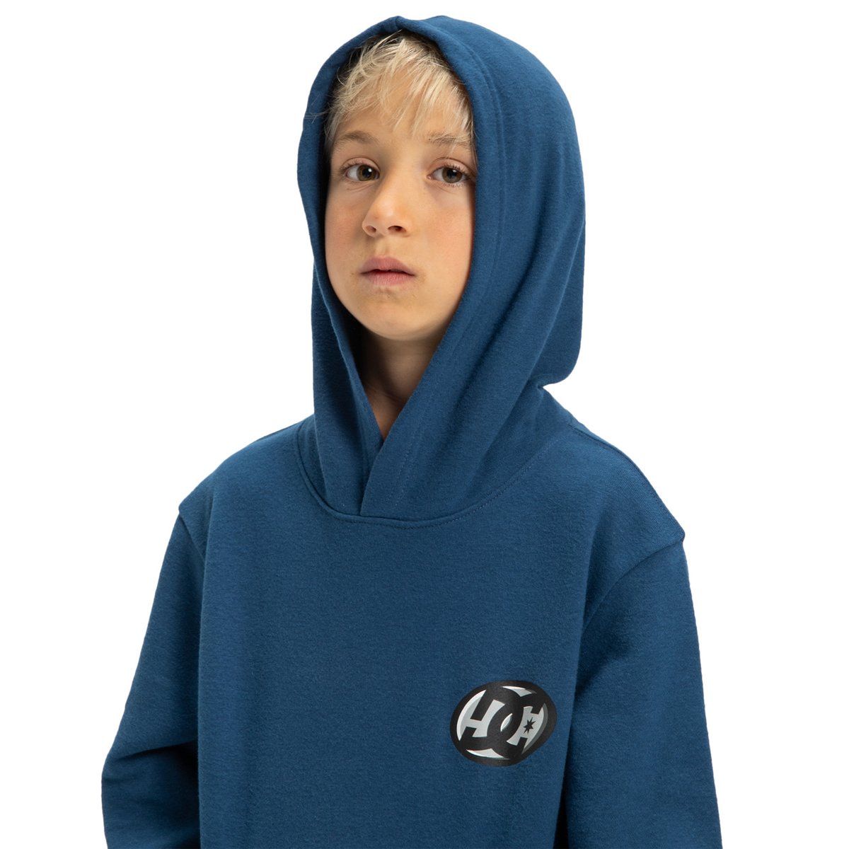 Sweat à capuche FAST BUBBLE. bleu estate blue, DC SHOES