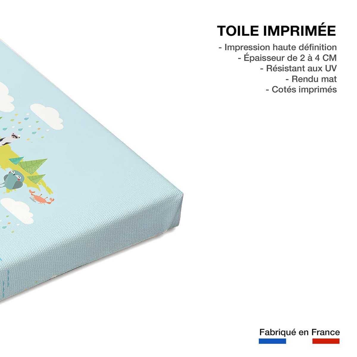 Tableau world map and animals toile imprimée, HEXOA