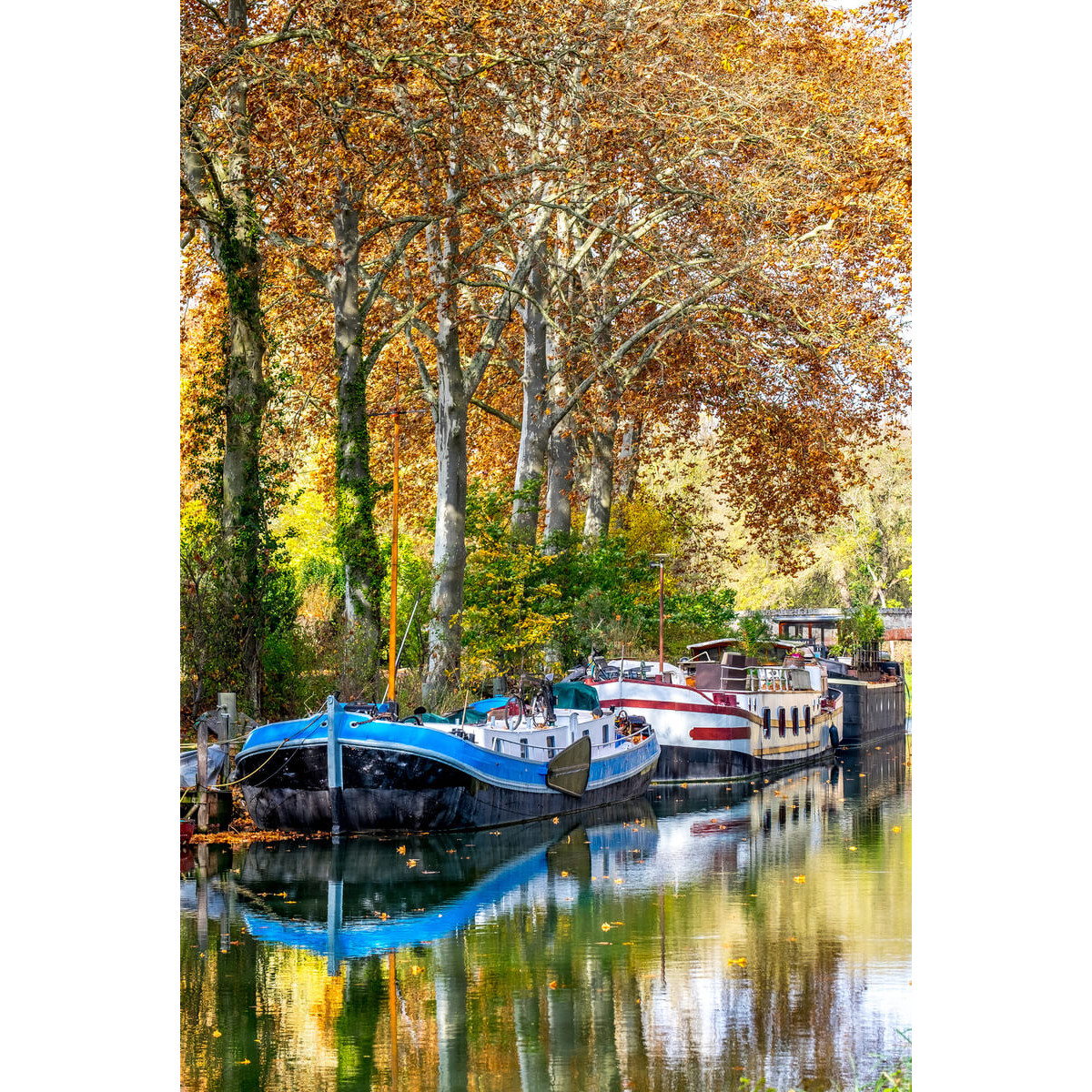 Tableau Mural Péniches Canal Du Midi NATURE ÉVASION tableaux sur toile-vert, CEANOTHE