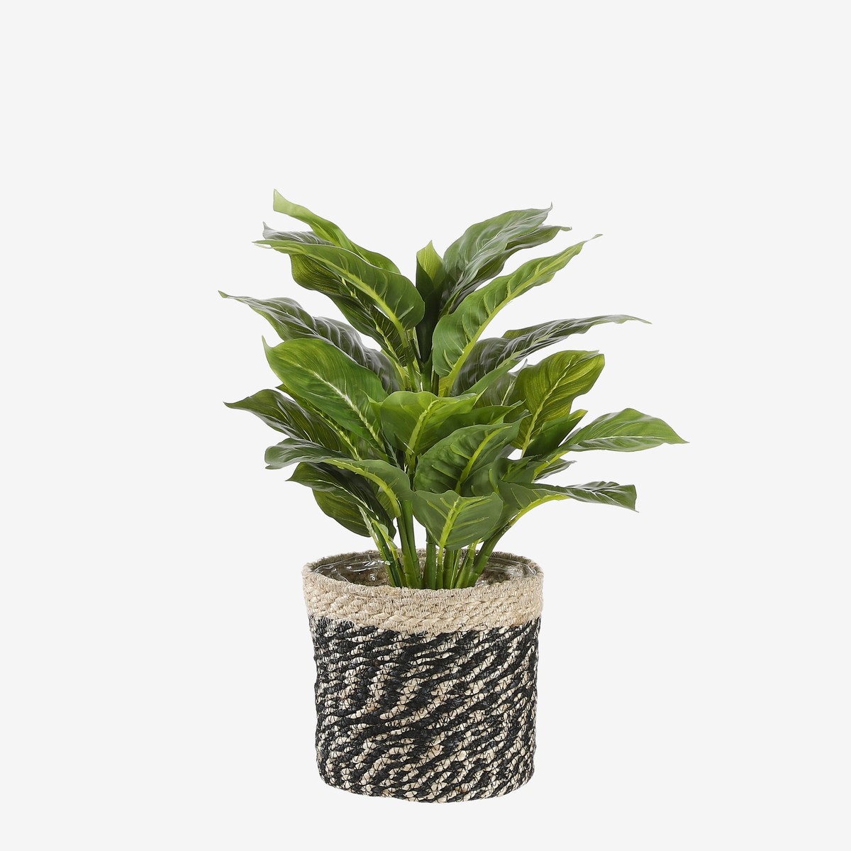 Plante artificielle EVERGREEN vert, MICA DECORATIONS