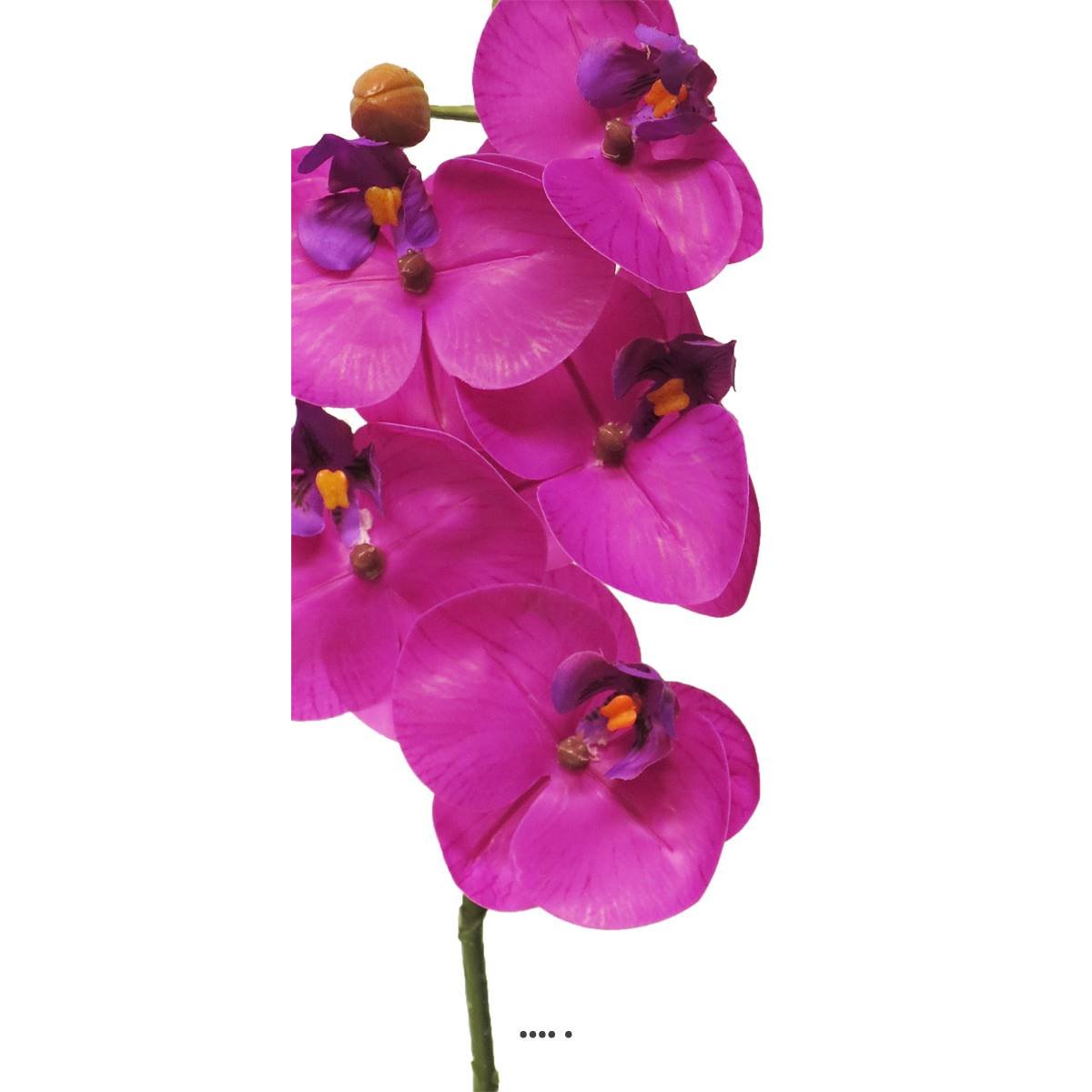 Tige orchidée phalaenopsis faux 5fleurons pourpre, ARTIFICIELLES