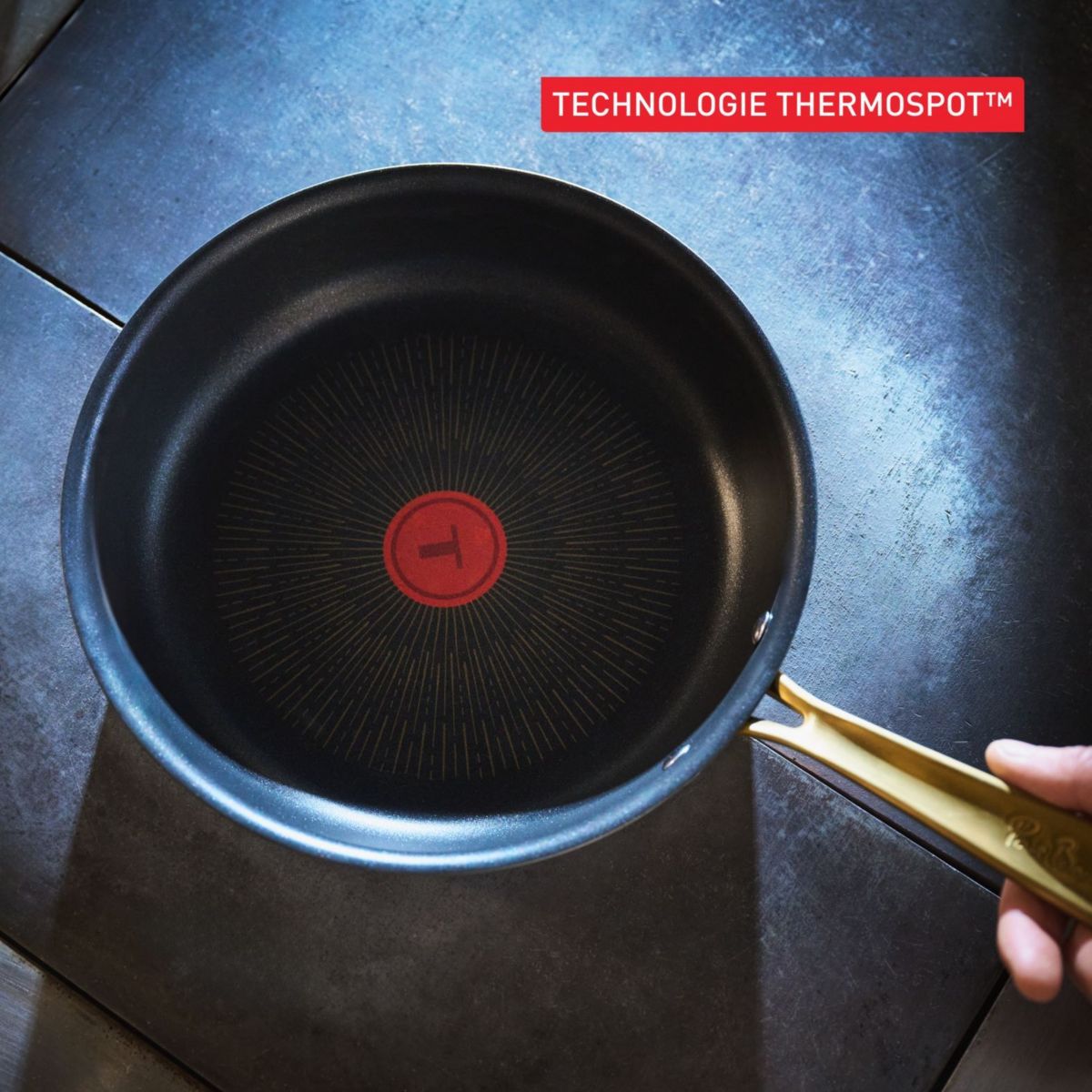 Poêle 28cm Bocuse Edition couleur unique, TEFAL