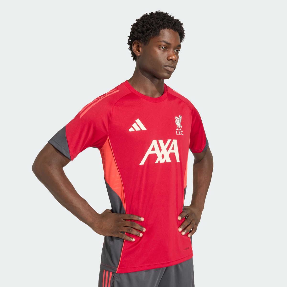 Maillot De Training Liverpool Fc Tiro 25 Competition Maillot De Training Liverpool Fc Tiro 25 Competition strawberry red, adidas Performance
