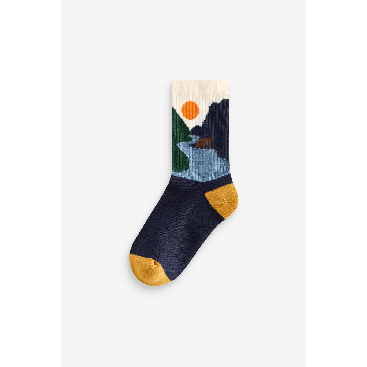 Chaussettes côtelé à passepoil, 5 paires multi-couleurs, NEXT