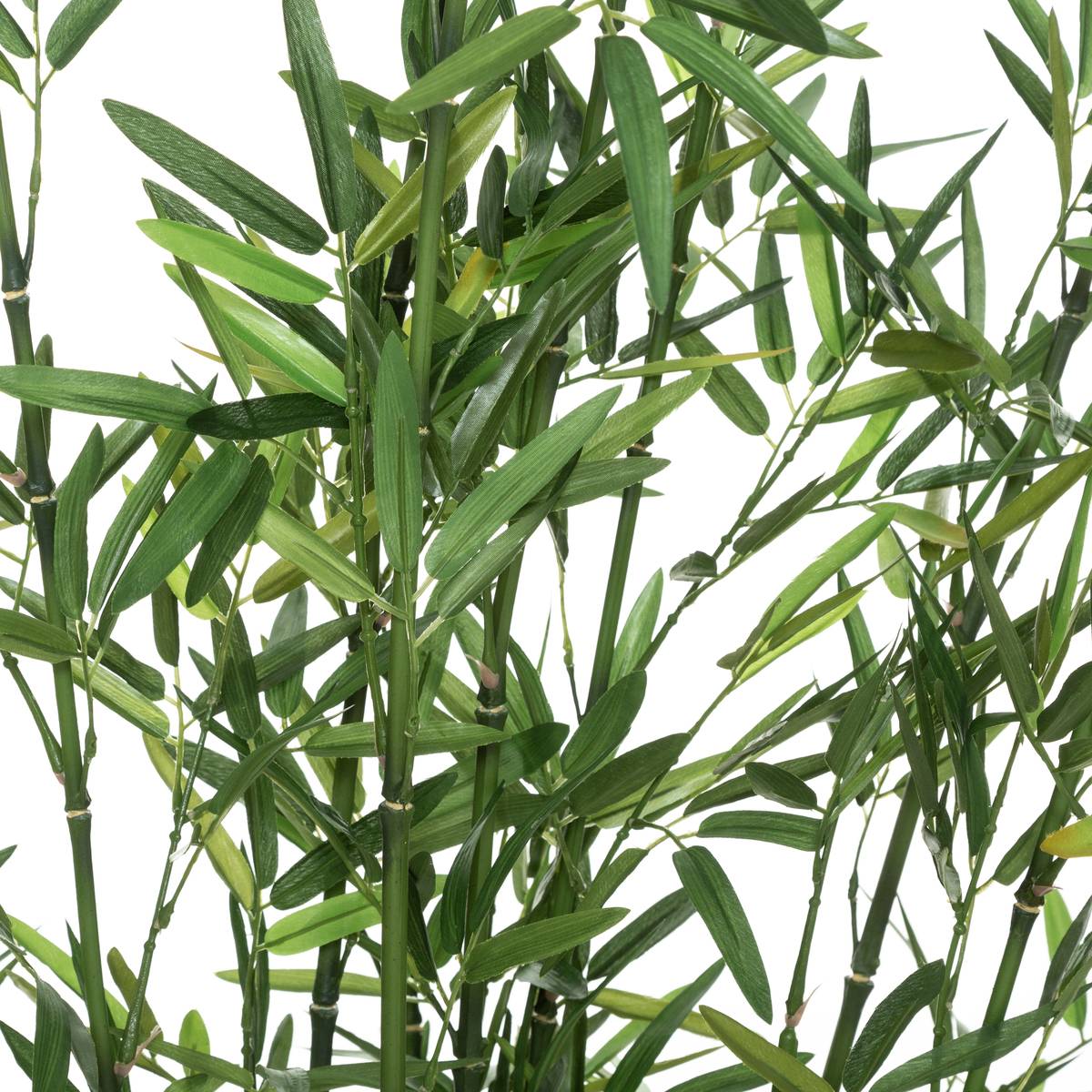 Bambou artificiel vert, ATMOSPHERA