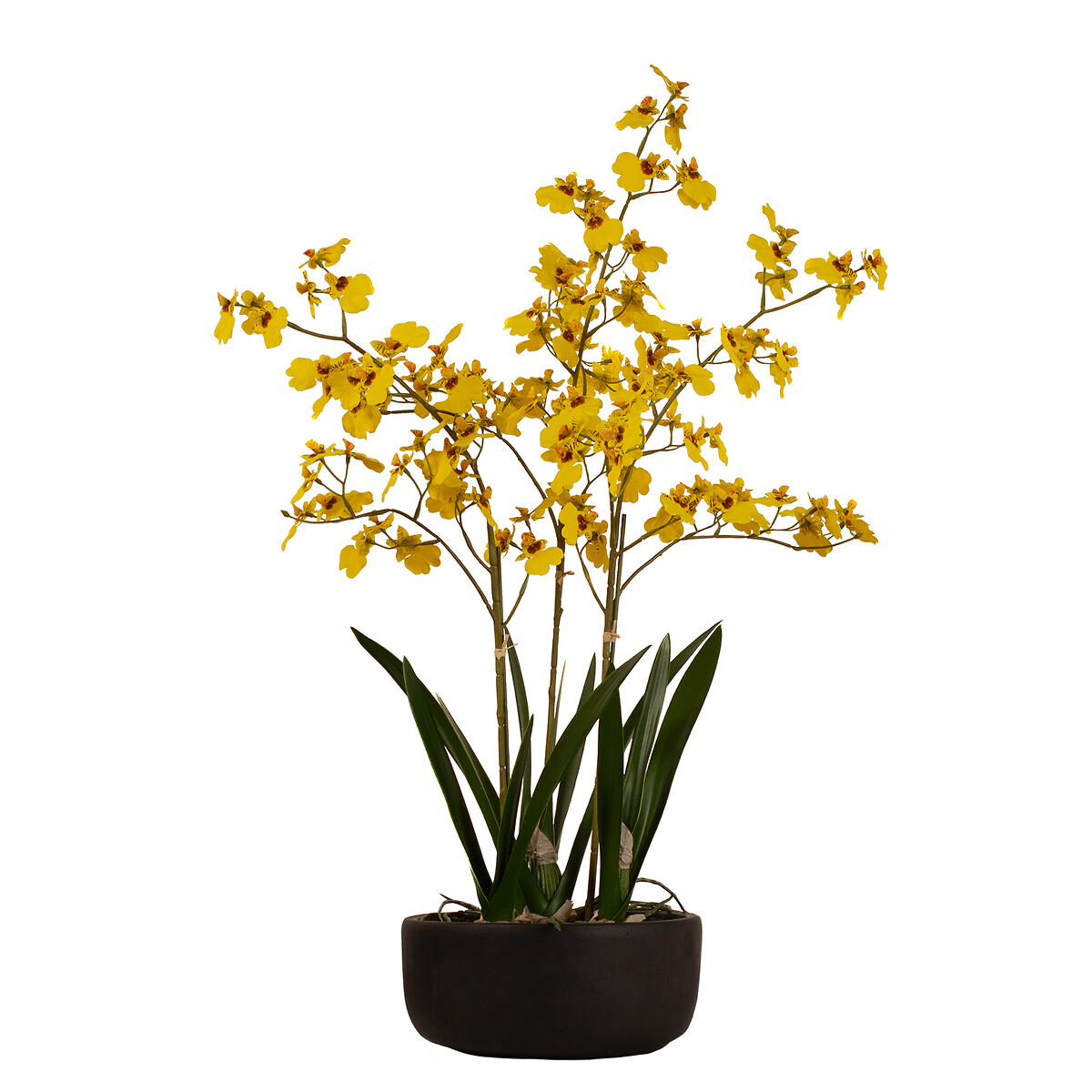 71cm Artificial Yellow Dancing Orchid in Ceramic Pot yellow, SO'HOME