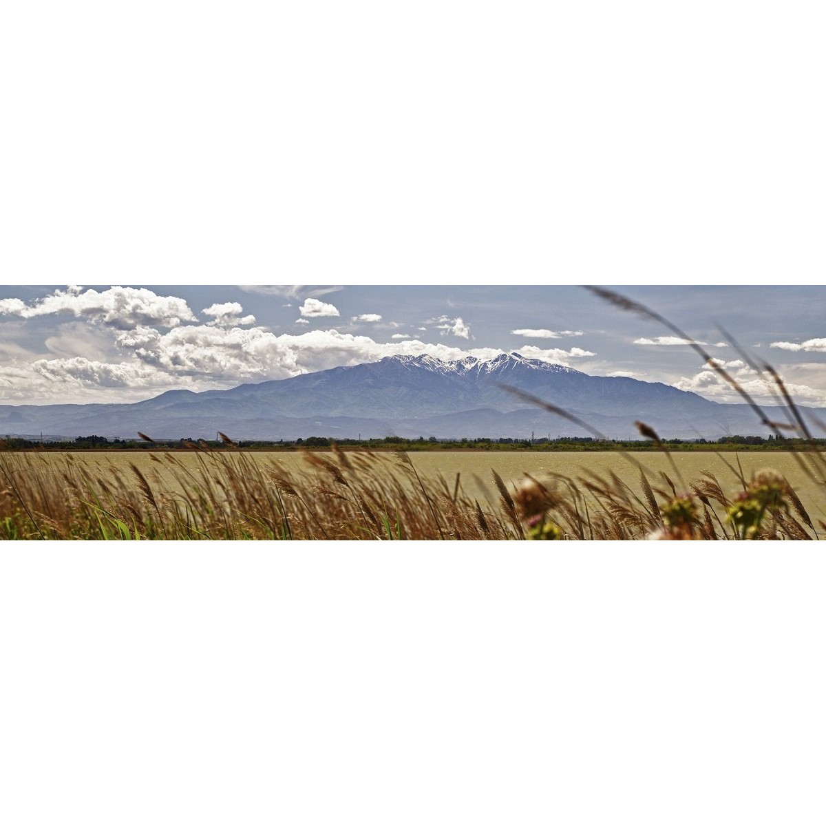 Tableau Mural Vu Sur Le Canigou GRANDS ESPACES tableaux sur toile-vert, CEANOTHE