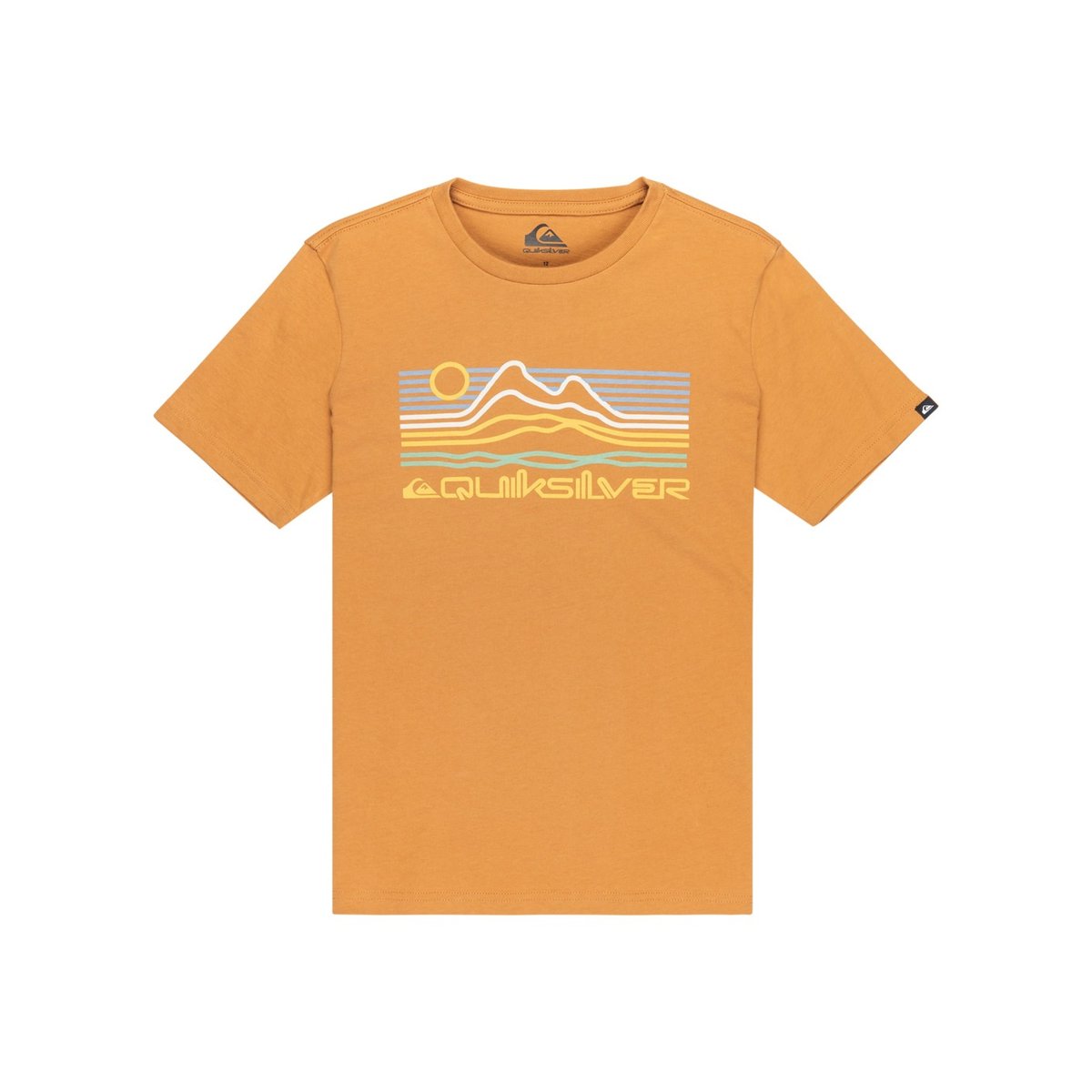 T-shirt à manches courtes EV LIGHT WAVES marron almond, QUIKSILVER