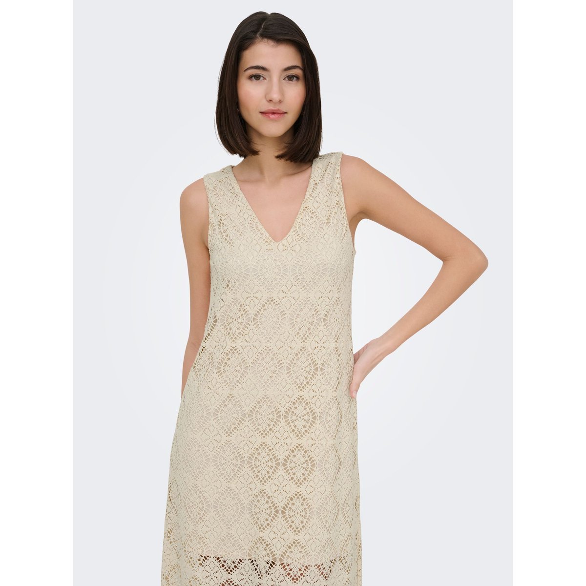 Robe birch, JDY
