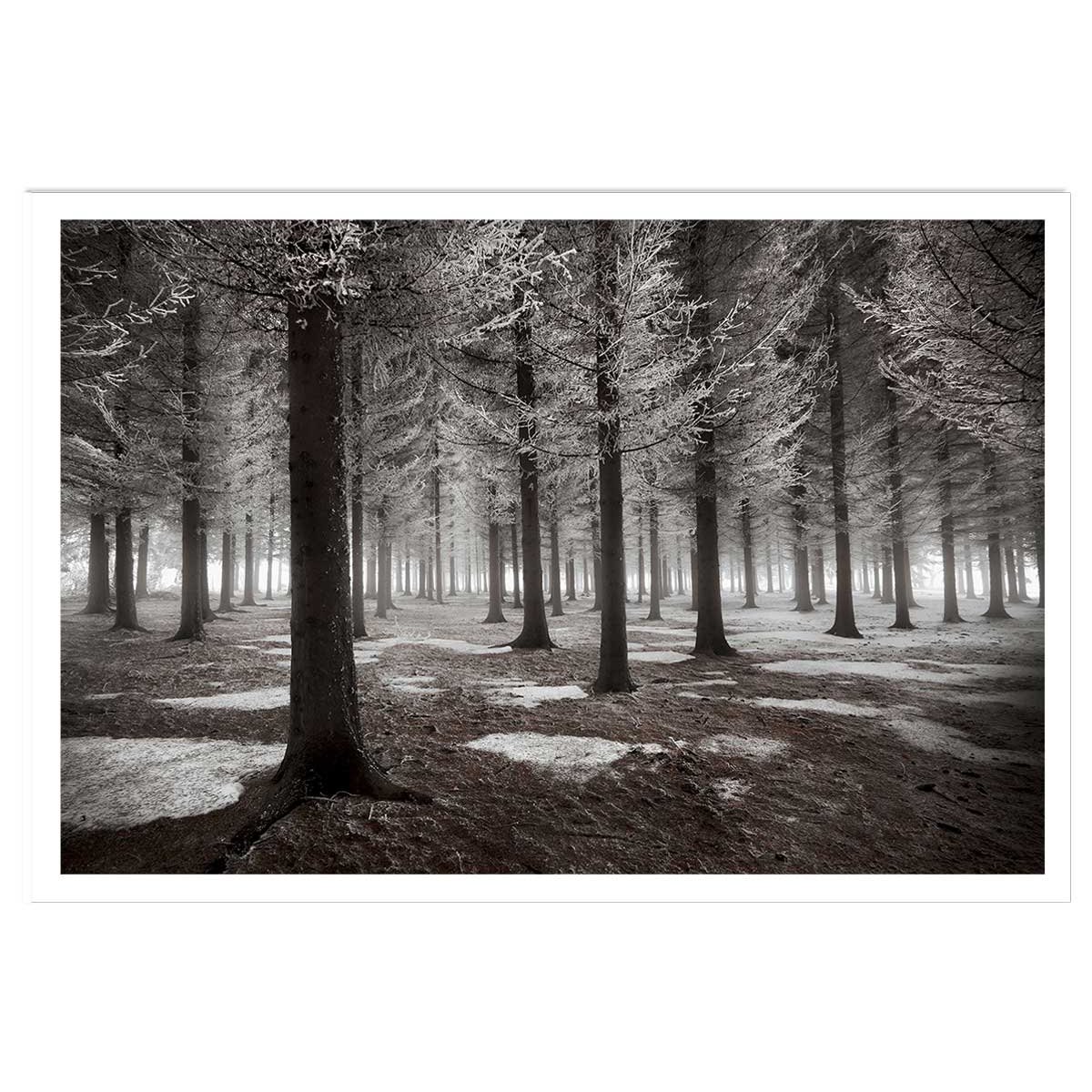 Affiche deco ""debut d'hiver"" affiche seule, HEXOA