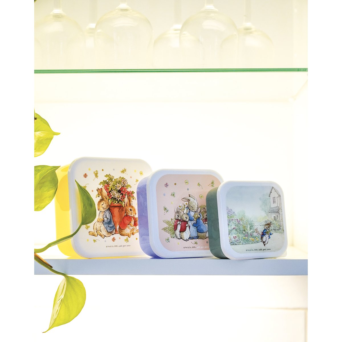 Set de 3 Lunch Box PIERRE LAPIN bleu, vert, jaune., PETIT JOUR