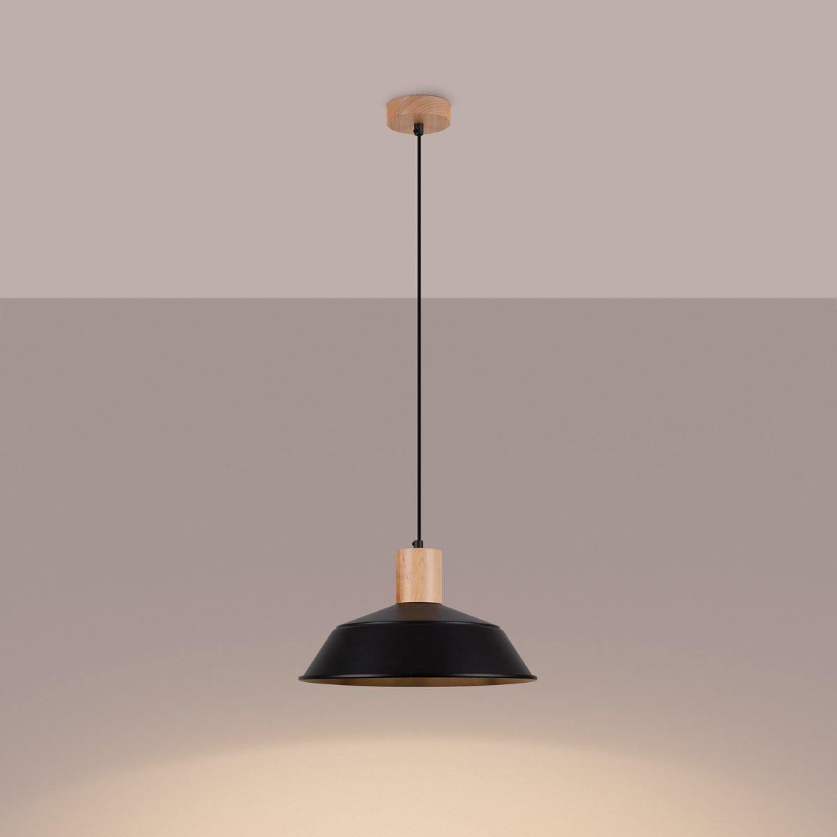 Suspension Acier Noir E27 1 Fano noir, EDEN