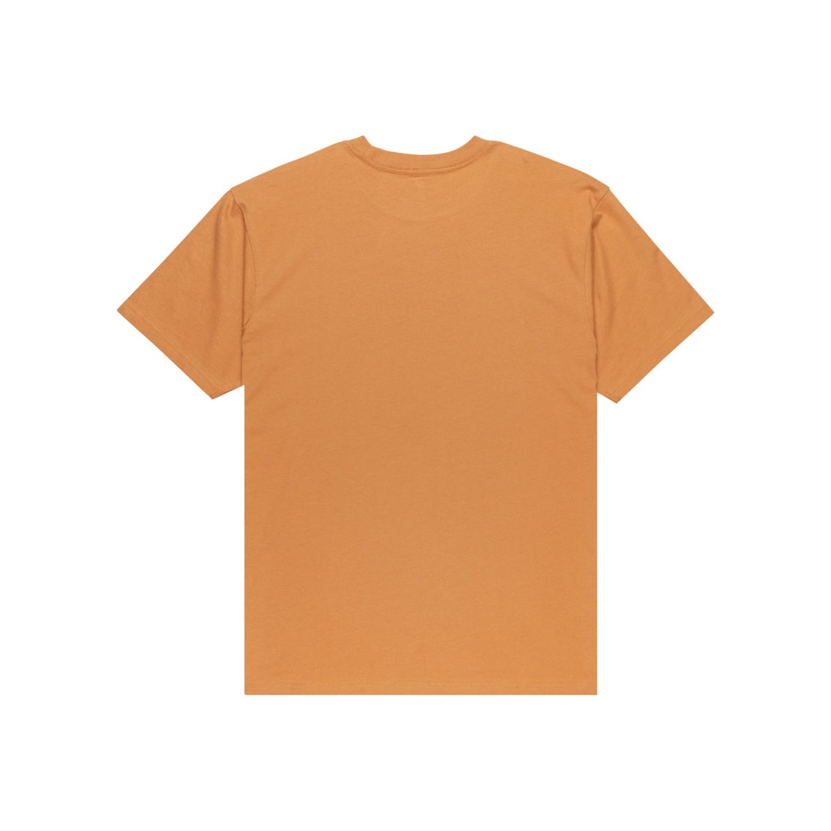 T-shirt à manches courtes EV FINELINE marron almond, QUIKSILVER