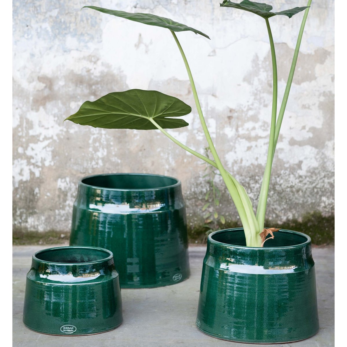 Pot de Fleurs Ceramique Small vert, SERAX