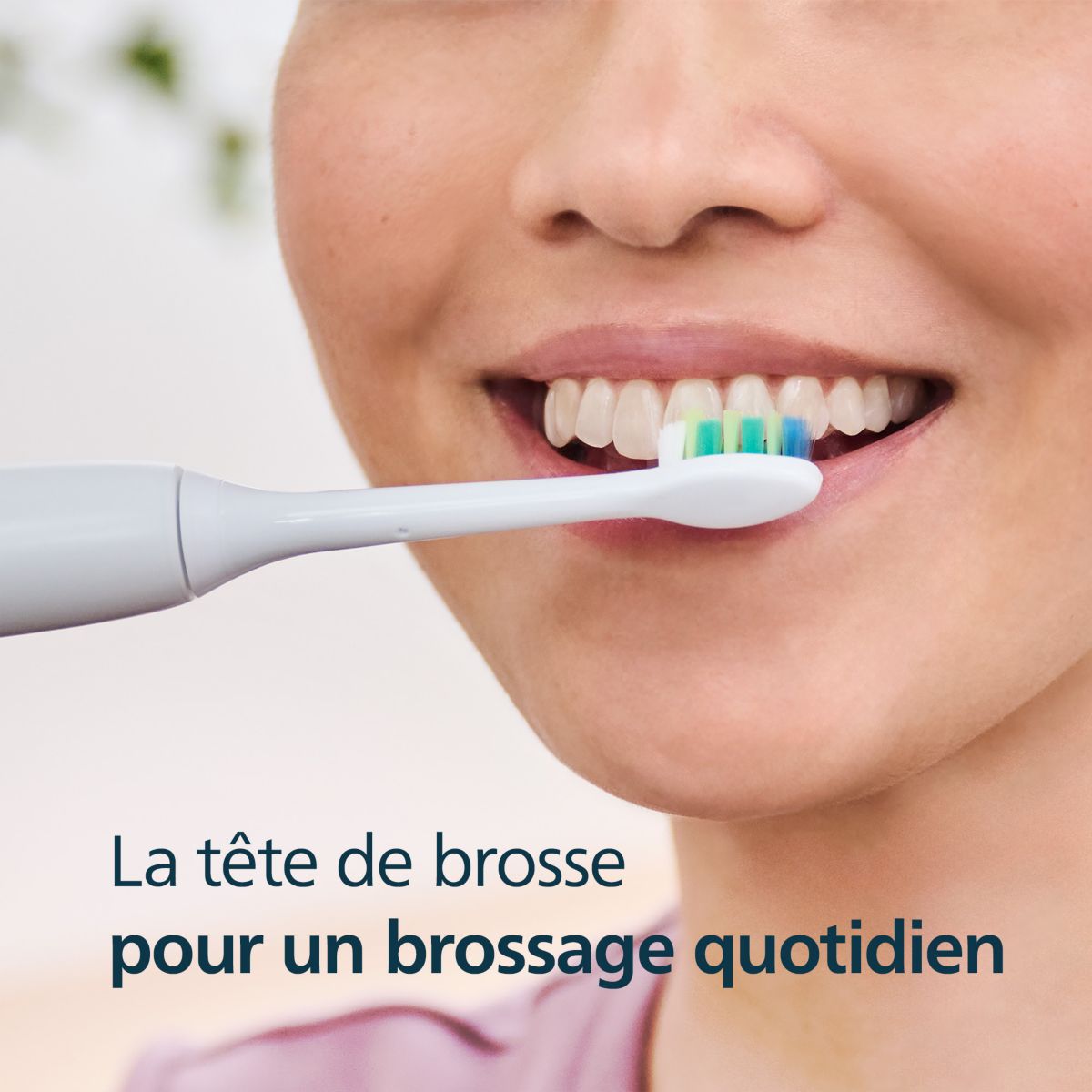 Brossette dentaire Sonicare lot de 6 InterCare blanc couleur unique, PHILIPS