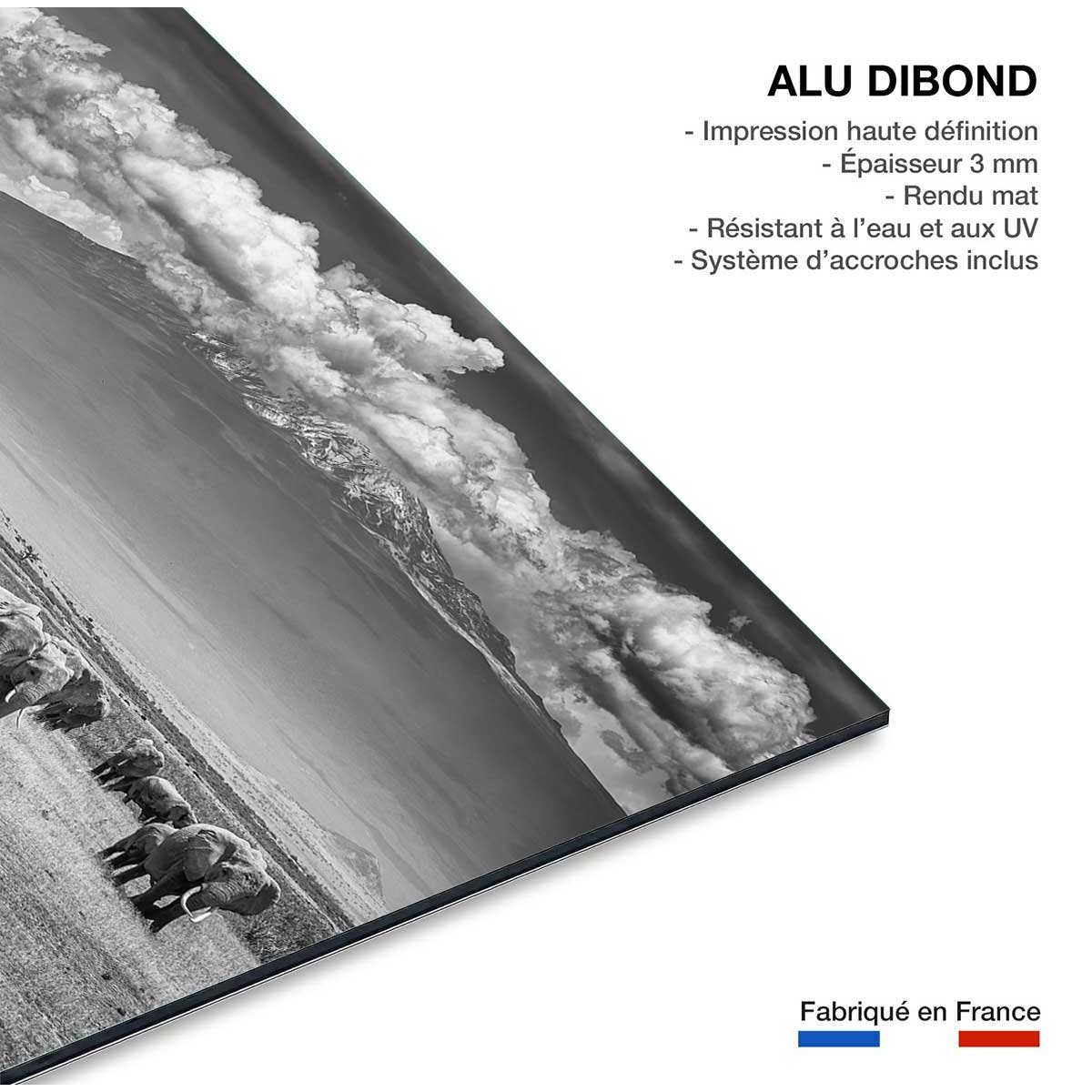 Tableau mysterieux voyage des éléphants tableau alu dibond, HEXOA