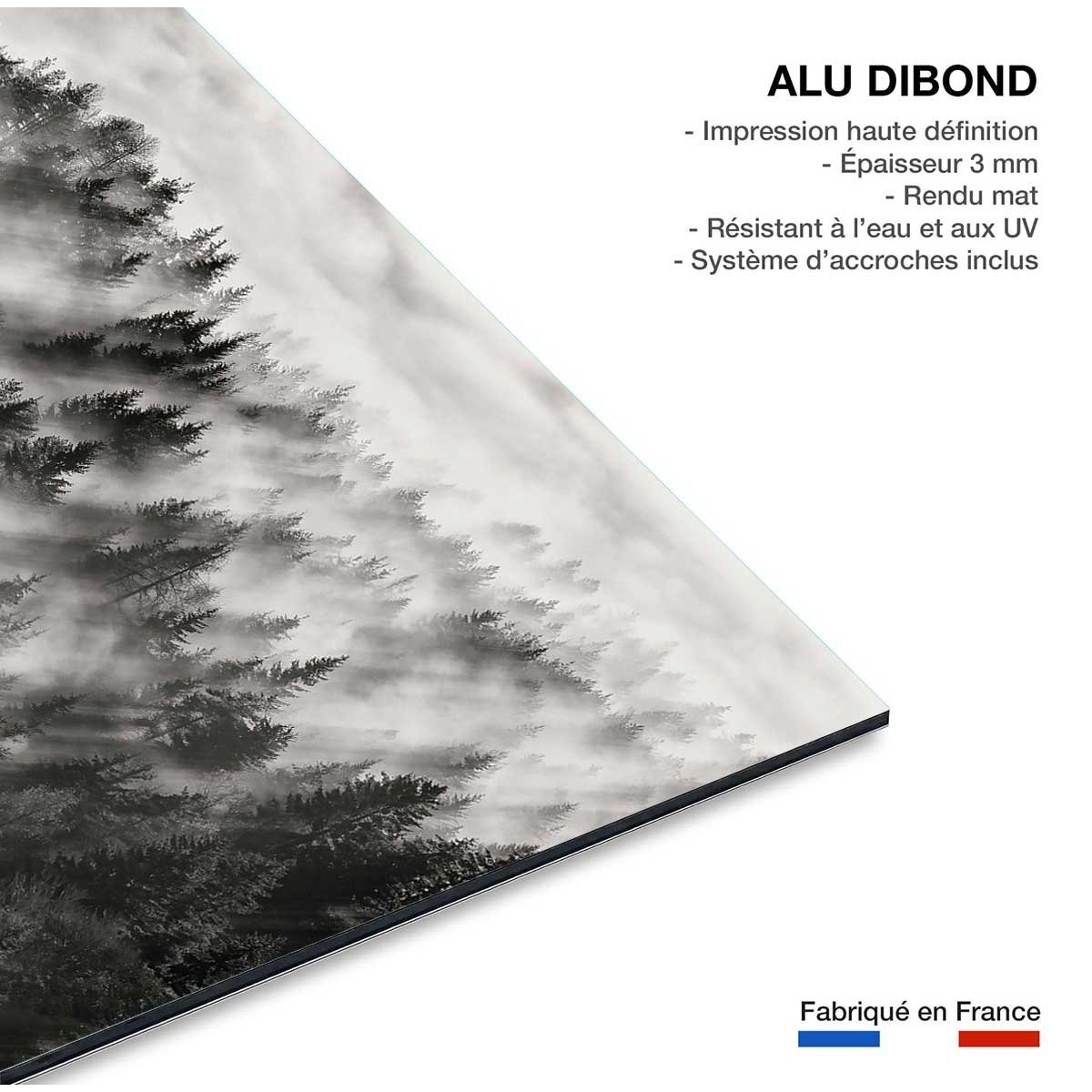 Tableau rayons de lumière tableau alu dibond, HEXOA
