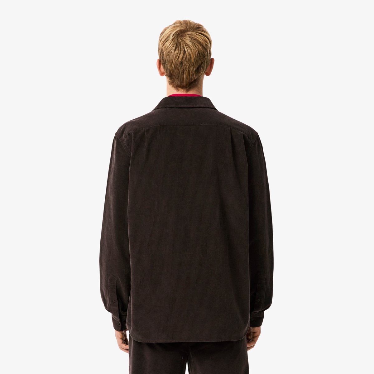 Chemise regular fit velours marron-skb, LACOSTE