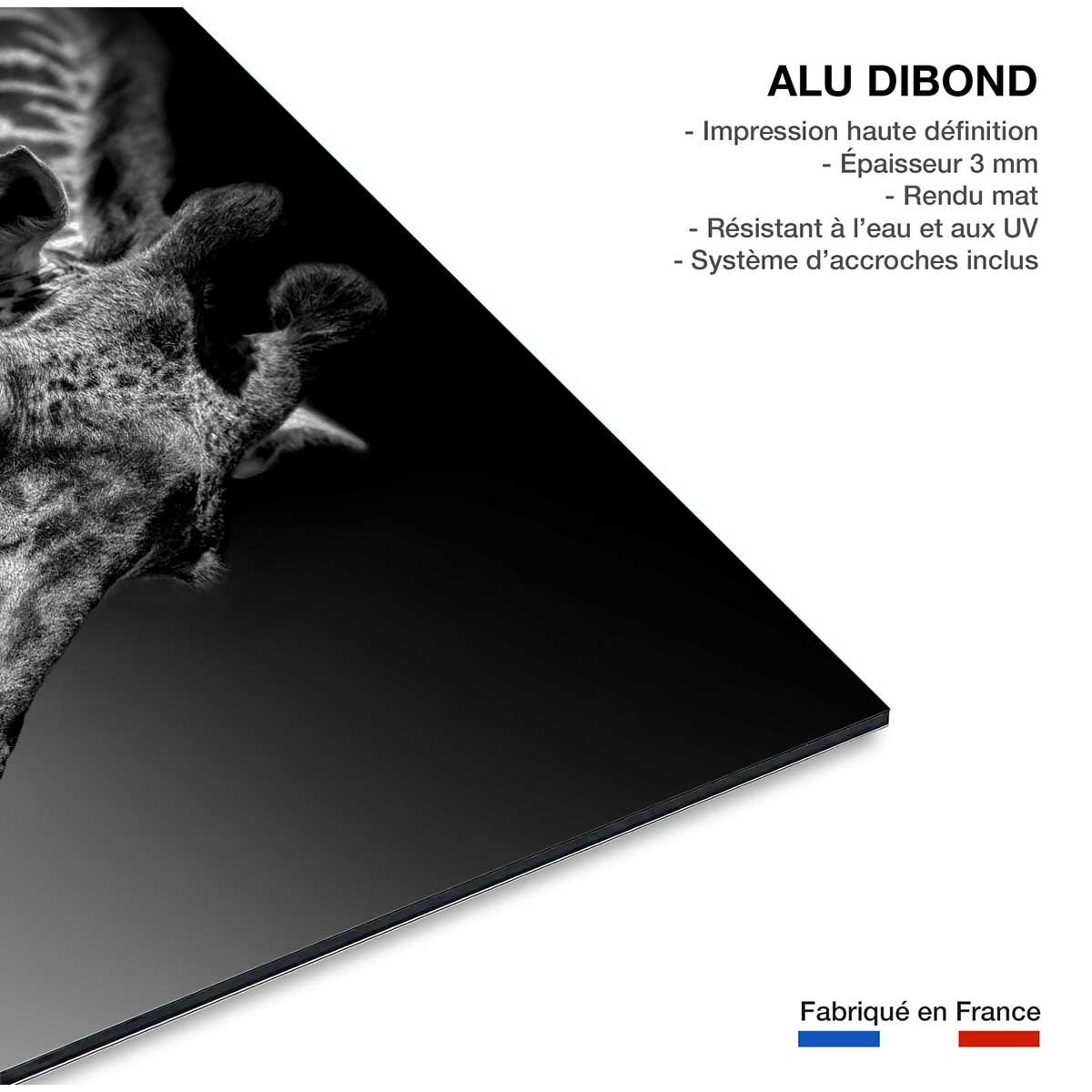 Tableau animaux girafe discrète tableau alu dibond, HEXOA