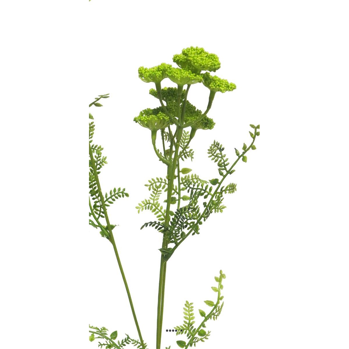 Achillée artificielle en tige, H 52 cm Vert vert, ARTIFICIELLES