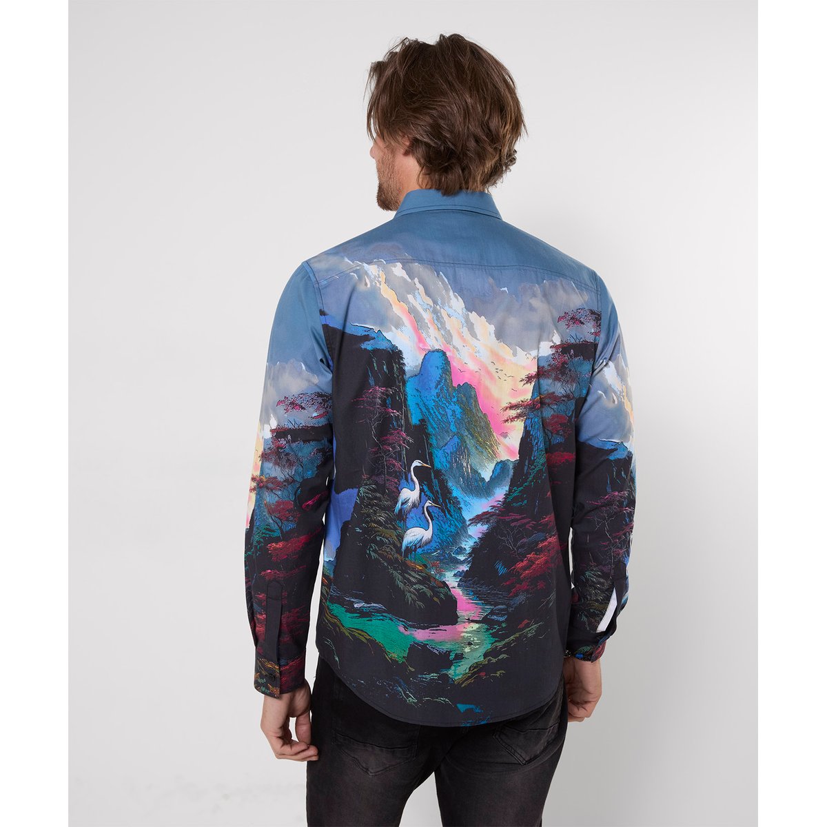 Chemise Imprimé Paysage Somptueux bleu, JOE BROWNS