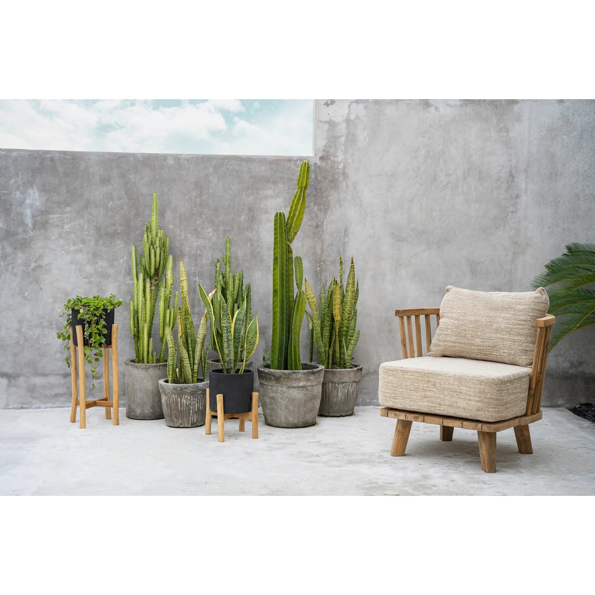 Cache-pot en terre cuite et bois de teck CHALK noir beige, BAZAR BIZAR
