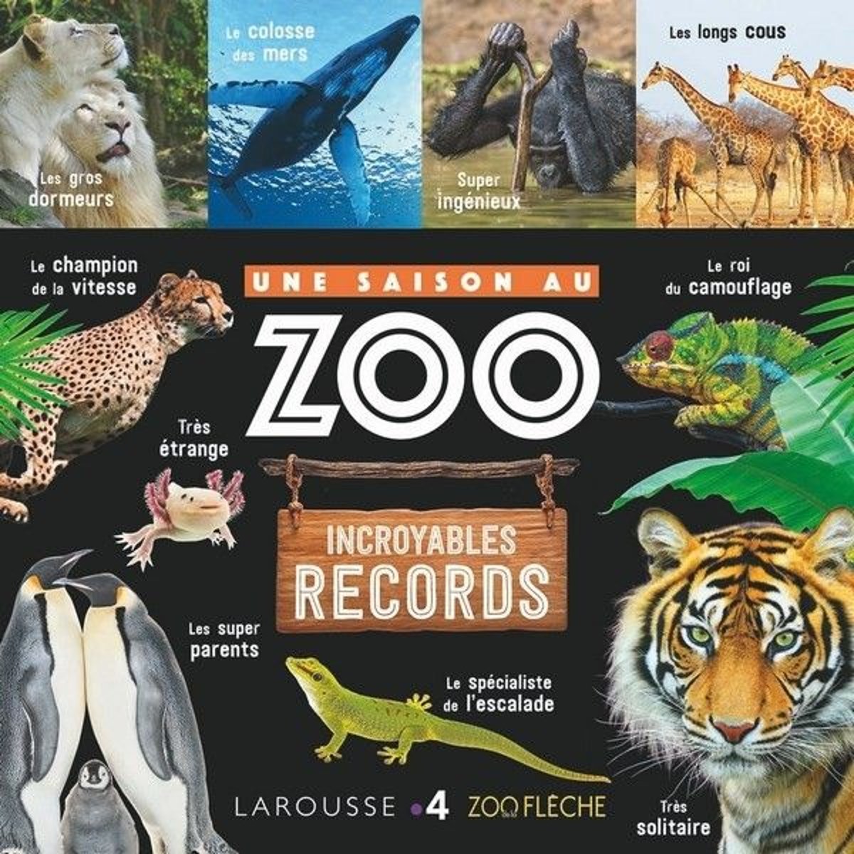 Incroyables Records Saison Zoo couleur unique, AUCUNE