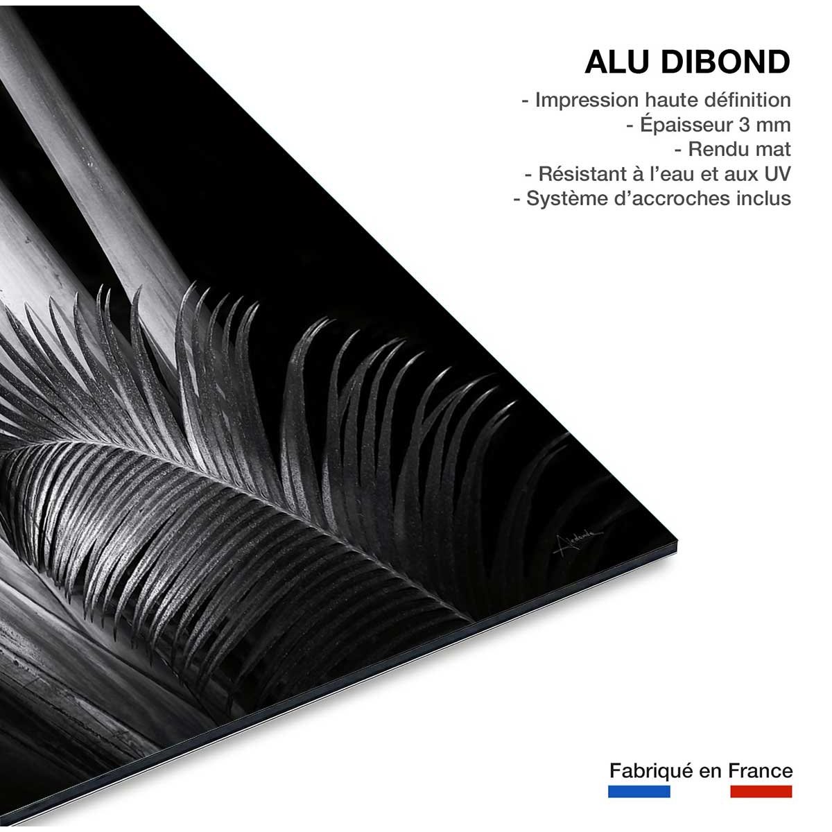 Tableau fleurs Marbella palm tableau alu dibond, HEXOA