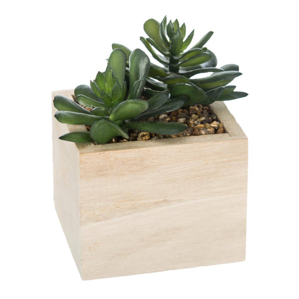 Plante artificielle HACI multicolore, ATMOSPHERA
