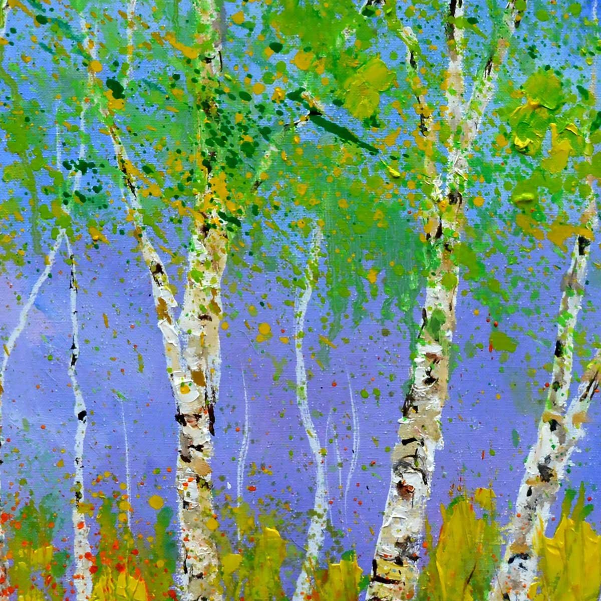 Tableau paysage bouleaux et coquelicots tableau alu dibond, HEXOA
