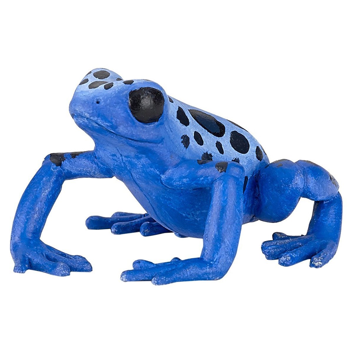 Figurine Grenouille équatoriale bleue bleu, PAPO