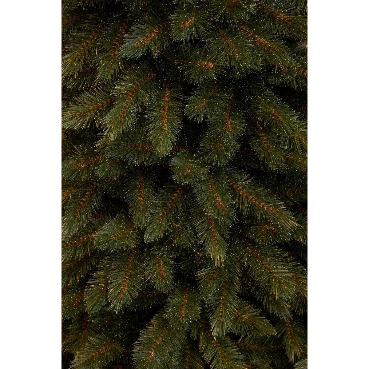 Sapin de Noël artificiel étroit H185 cm BRISTLECONE vert, TRIUMPH TREE