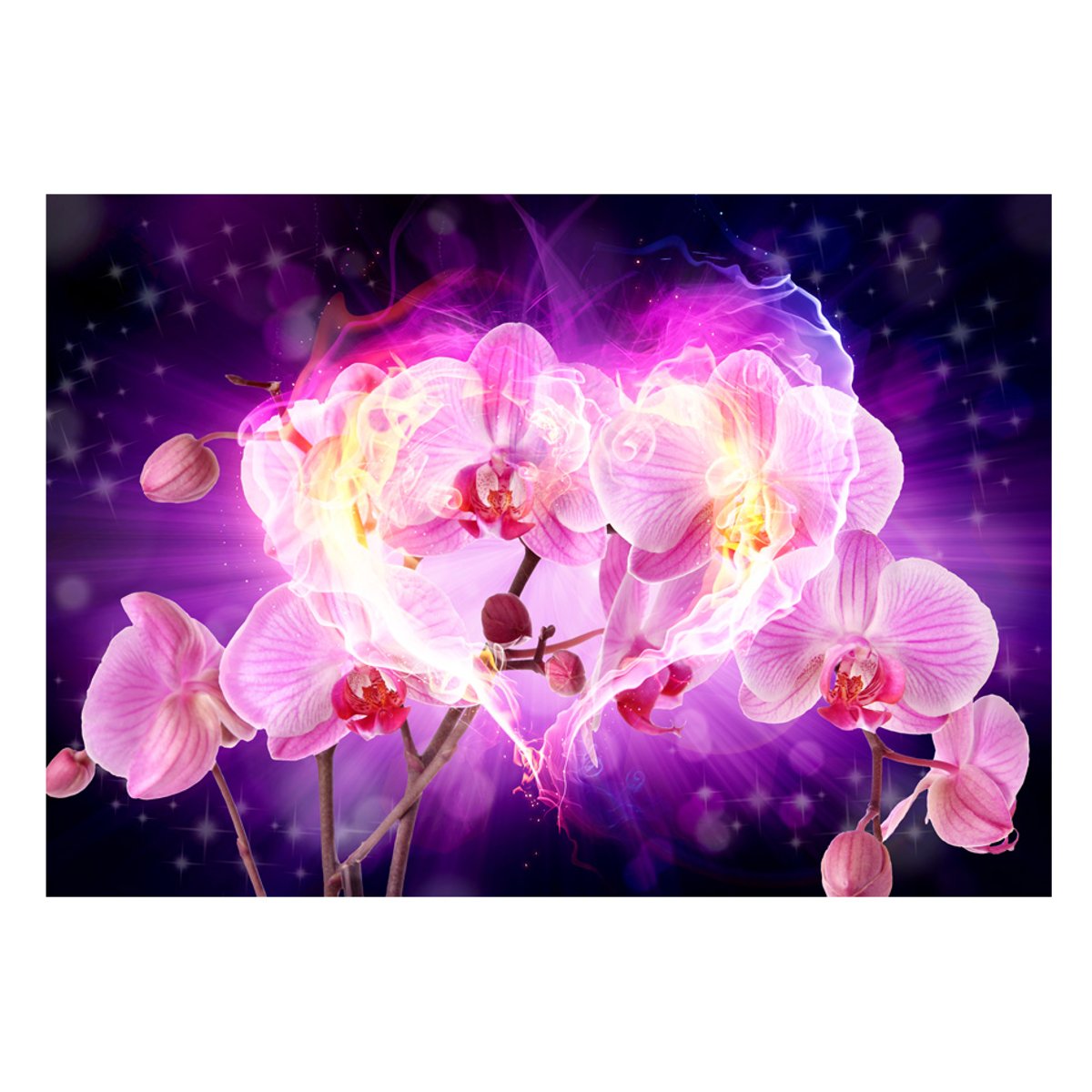 Papier peint intissé panoramique Fleurs Orchids in flames rose, EDEN