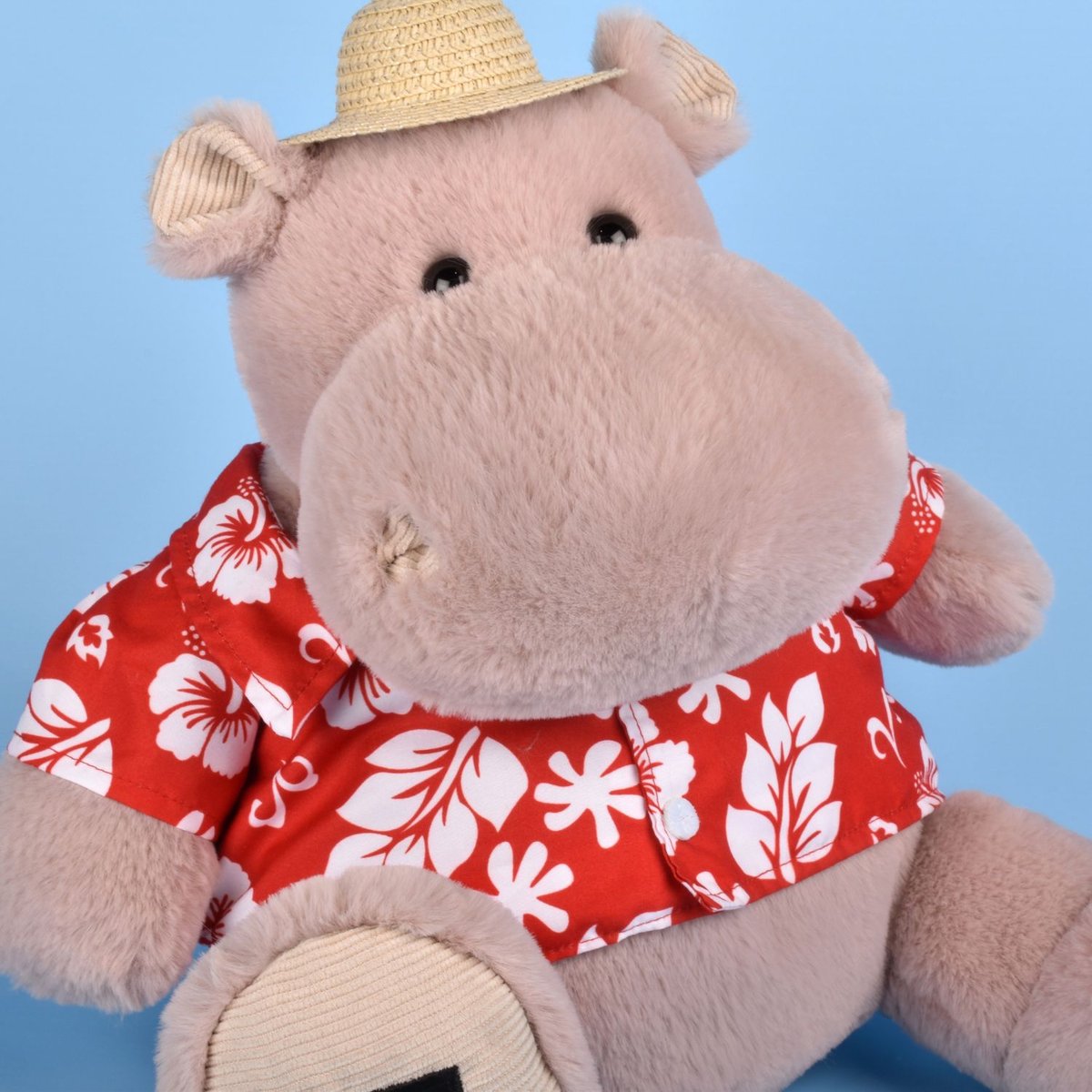Peluche marron, HISTOIRE D'OURS