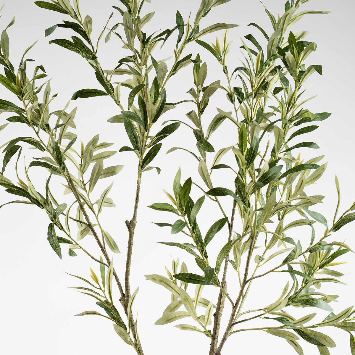 150cm Artificial Olive Tree in Cream Pot green, SO'HOME
